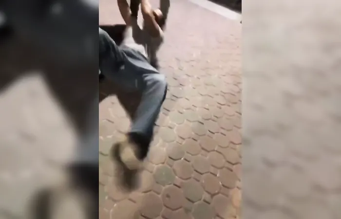 Dog abuser gets YANKED on a collar for revenge