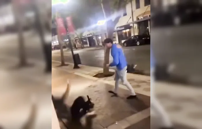 First time seeing a fight where everyone lost