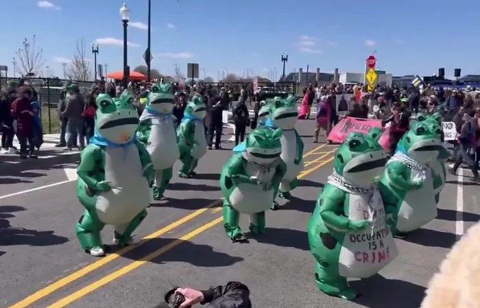 They protested Trump with frogs. You can't make this up