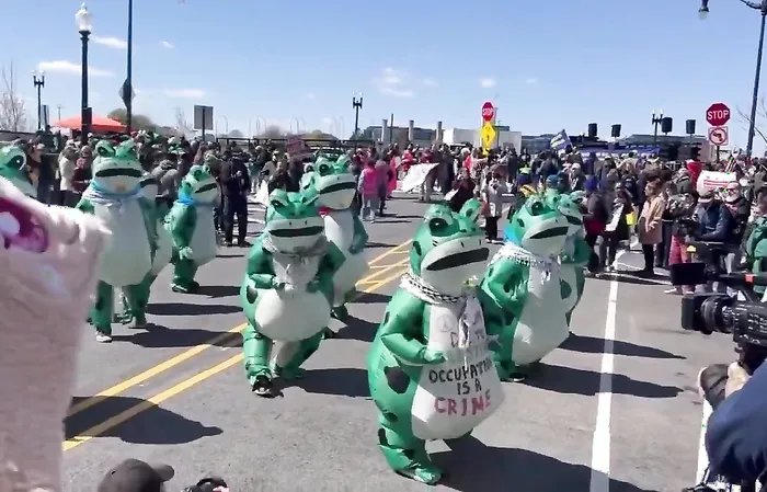 They protested Trump with frogs. You can't make this up