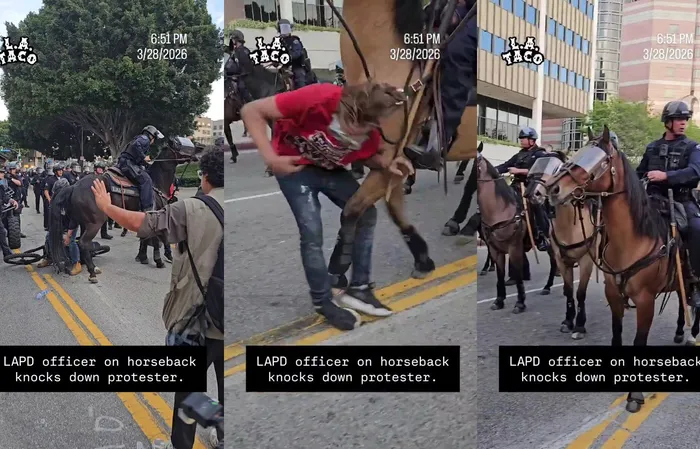 No Kings protestor KICKED to the ground by a HORSE