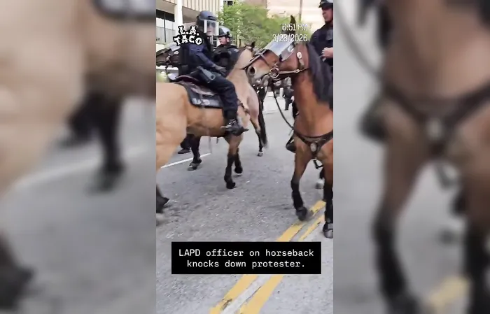 No Kings protestor KICKED to the ground by a HORSE