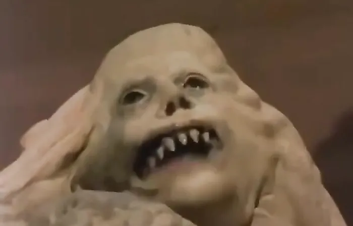 Trans women when you call them "sir"