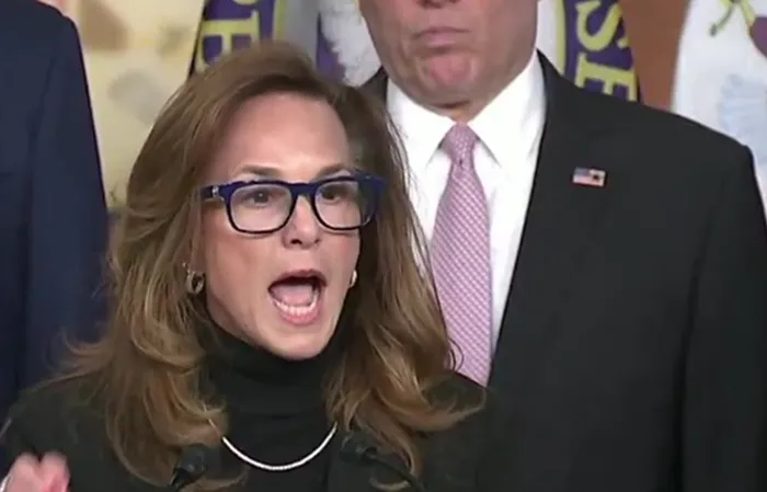 Rep. Lisa McClain scolds Democrat traitors
