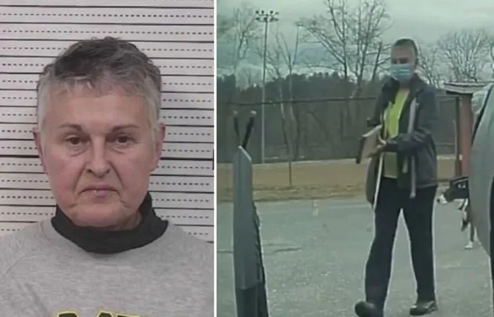 67-year-old Tesla-Hating Karen BUSTED