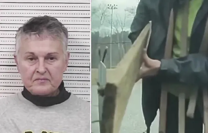 67-year-old Tesla-Hating Karen BUSTED
