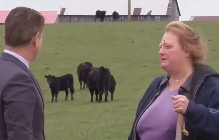 Kentucky family rejects $26 million offer to turn farm into a stupid data center