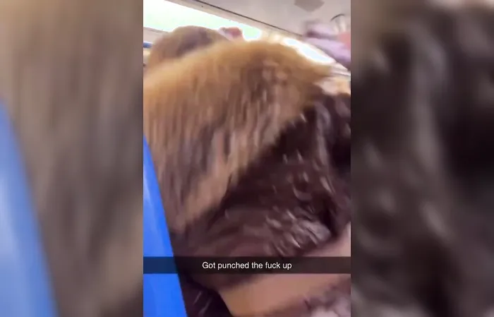 Bully gets SLAPPED into next week