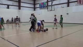 Thug attacks someone during basketball game