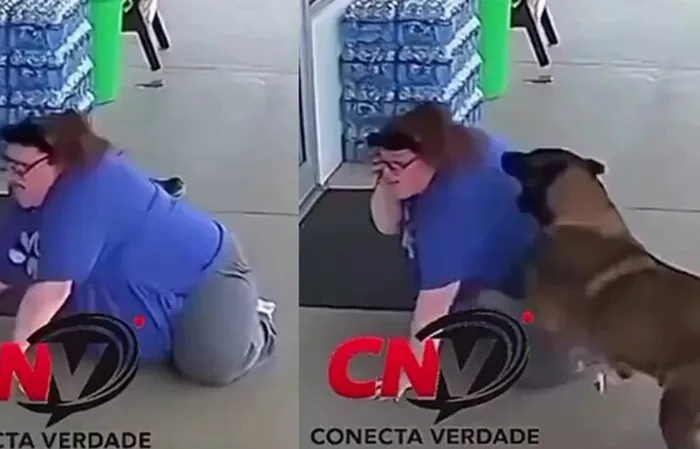 Woman identifies as dog, then gets attacked by one