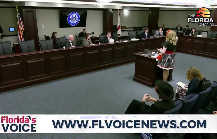 Dude dressed in drag quickly nixed from Florida Senate meeting