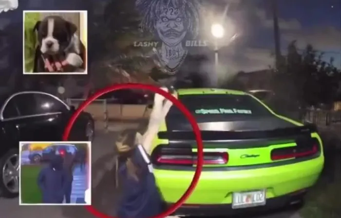 Woman selling dogs SHOOTS AT THUGS trying to steal the puppies