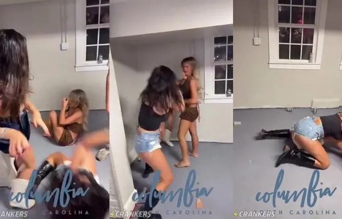 Gang of Girls breaks out into all out brawl