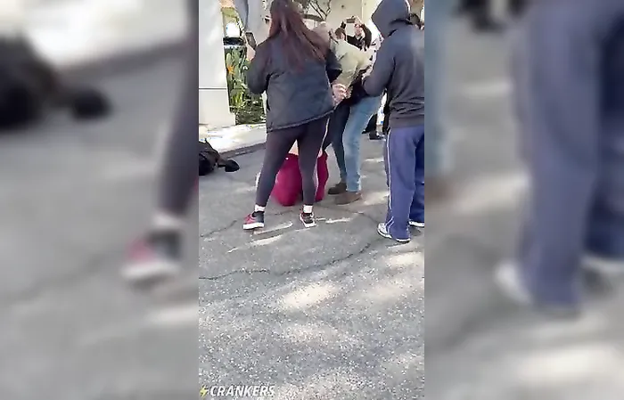 More idiots getting in the way of ICE