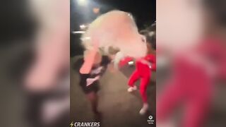 Threw the wig back in her face for fun