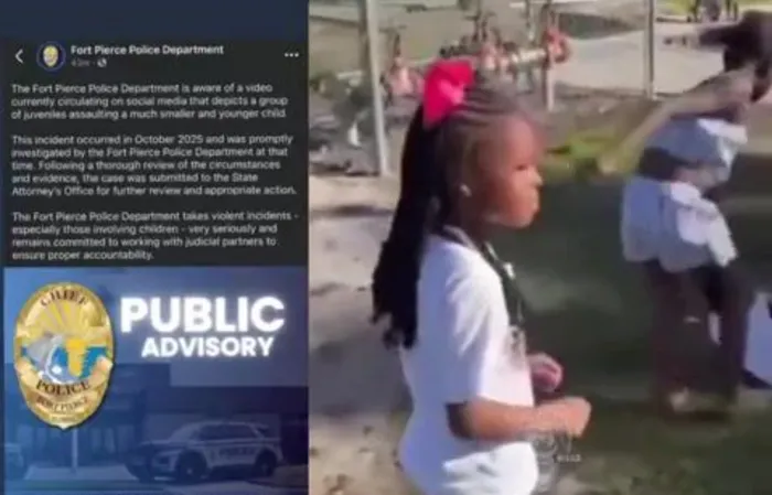 It's obvious no one is raising these damn kids