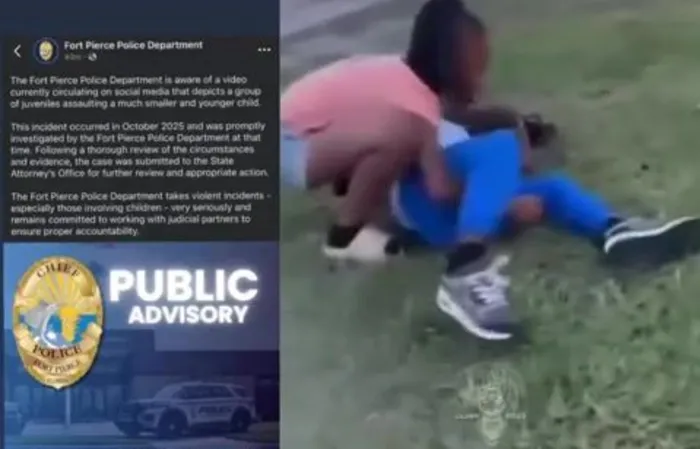 It's obvious no one is raising these damn kids