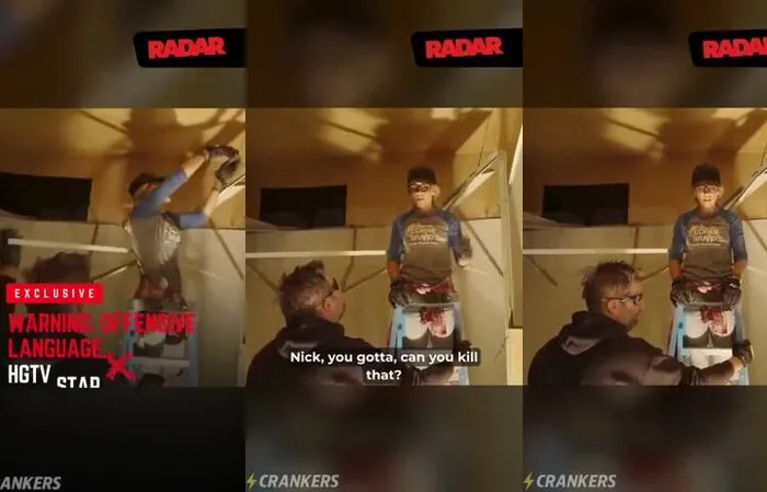 HGTV lady says FART N*WORD on video