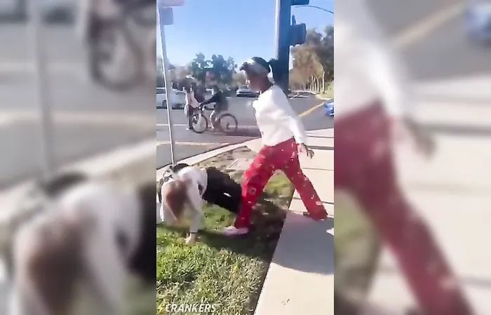Friend steps in to teach bully a lesson