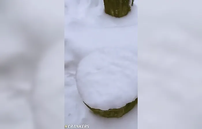 Then she licked it