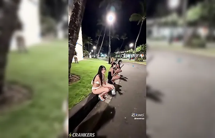 Are these hookers or a bunch of transformers?