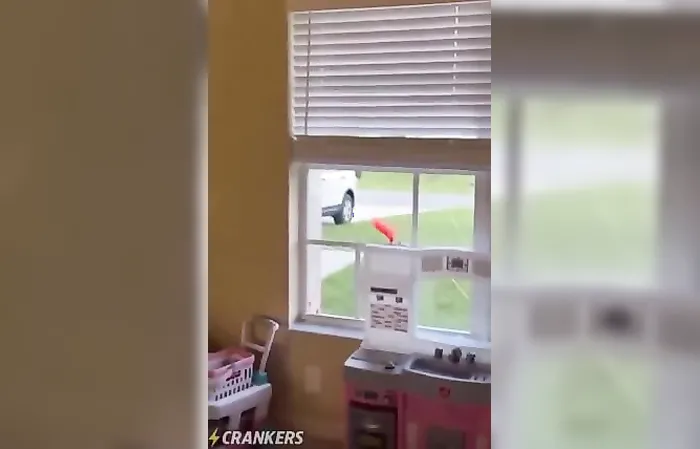 Dude punches window out, begs for help after what happened