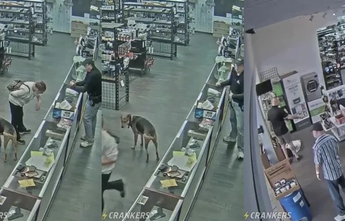 Watch this moron try to rob a store and FAIL