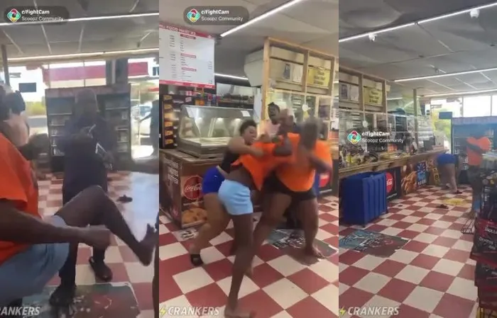 Why are chicks like this always fighting?