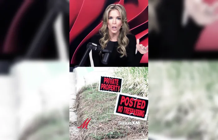 Megyn Kelly Goes Nuclear on Don Lemon After Church Chaos
