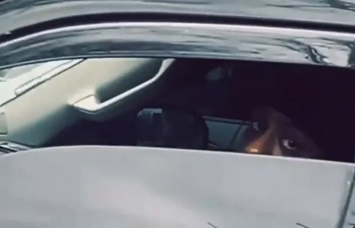 ICE agent teases driver with a hilarious welfare joke