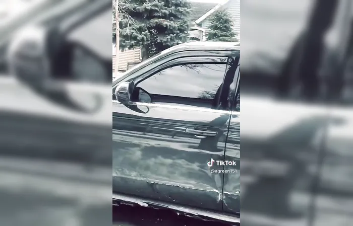 ICE agent teases driver with a hilarious welfare joke