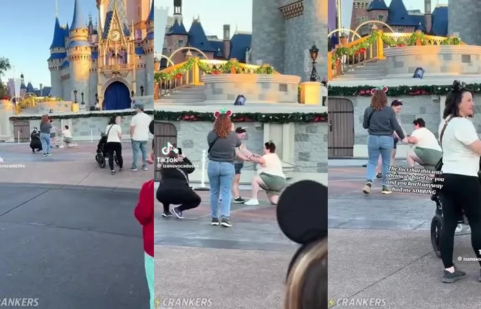Fat lesbian proposes on one knee at Disneyland, but can't get up