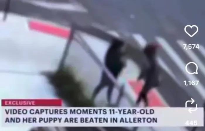 CCTV Captures Horrifying Attack on 11-Year-Old Girl Walking Her Puppy