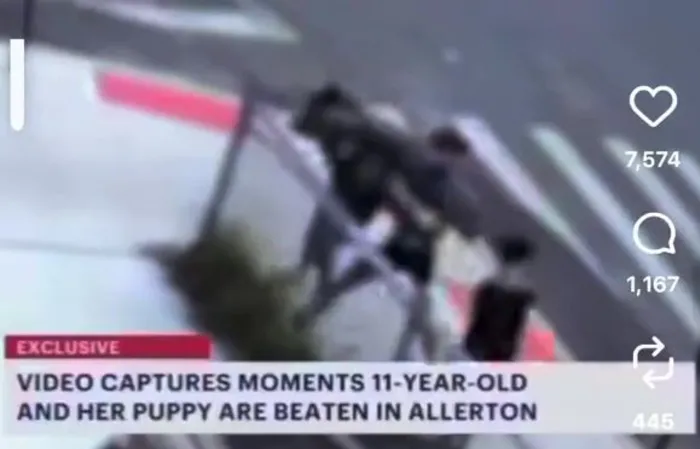 CCTV Captures Horrifying Attack on 11-Year-Old Girl Walking Her Puppy