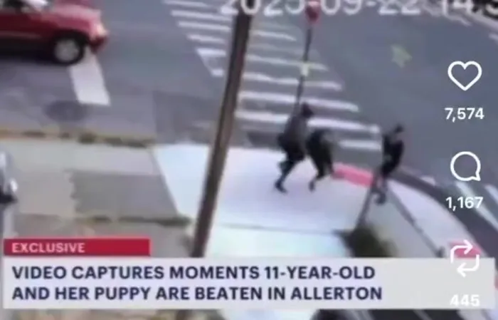 CCTV Captures Horrifying Attack on 11-Year-Old Girl Walking Her Puppy