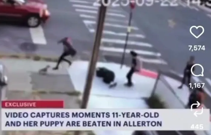 CCTV Captures Horrifying Attack on 11-Year-Old Girl Walking Her Puppy