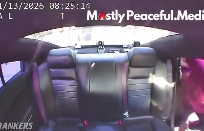 Woman Arrested After Punching State Trooper During Immigration Operation in Florida