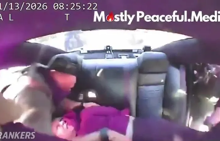 Woman Arrested After Punching State Trooper During Immigration Operation in Florida