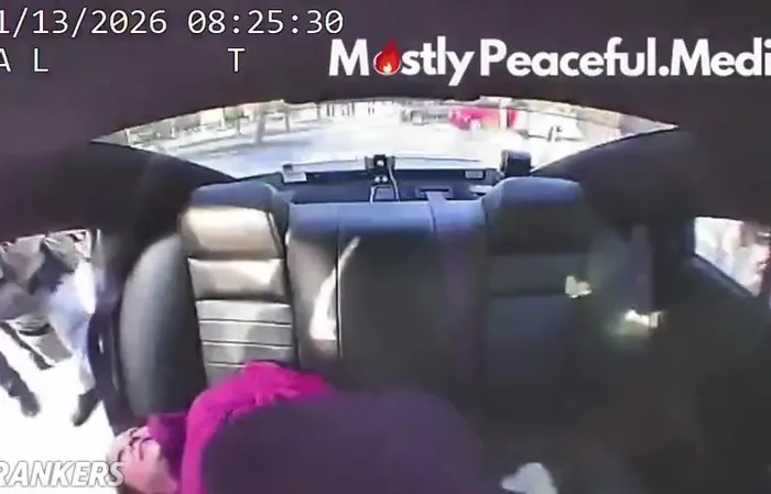 Woman Arrested After Punching State Trooper During Immigration Operation in Florida