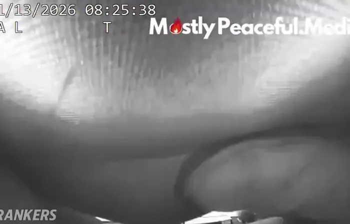 Woman Arrested After Punching State Trooper During Immigration Operation in Florida