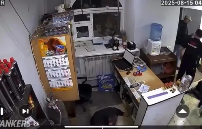 Two guys rob a store at knifepoint, then big dude beats the crap out of them