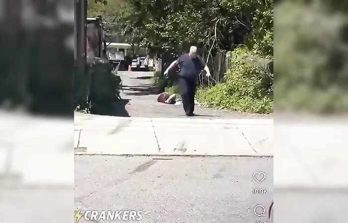 Dude starts a fake fight, gets hit with a REAL ROCK in the head