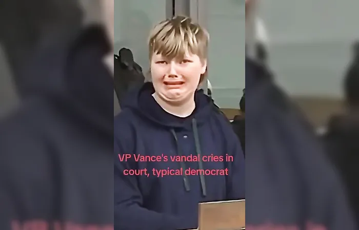 VP Vance vandal cries in court