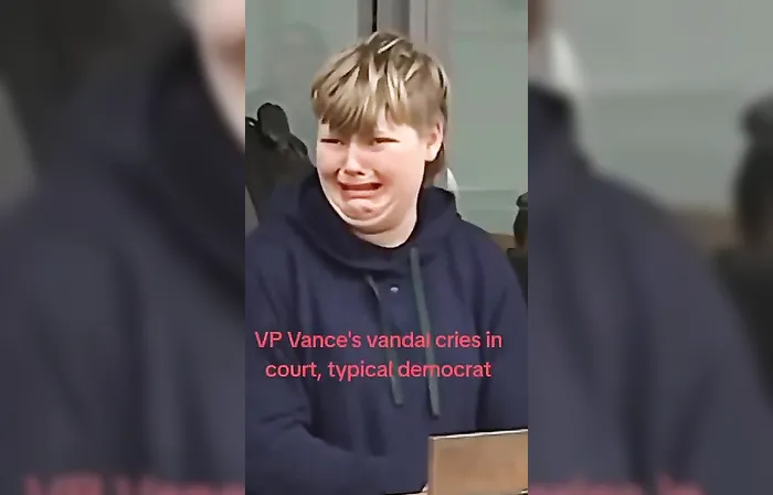 VP Vance vandal cries in court