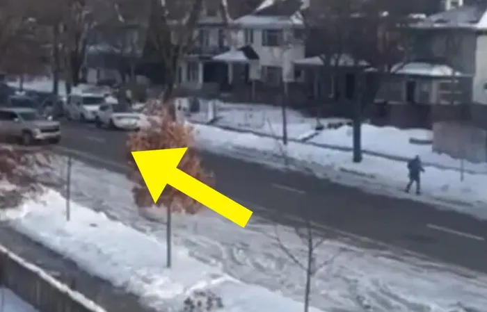 New angle of ICE shooting is BAD NEWS for DEMOCRATS