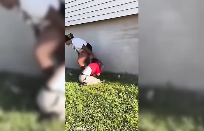 Lady walking her dog attacked for no reason