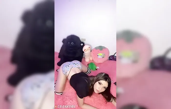 Teddy bear doesn't mind the view