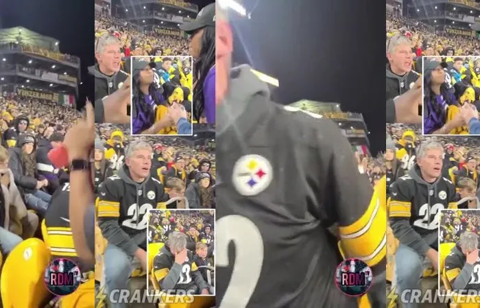 Ravens female fan threw a drink in the face of a Steelers fan