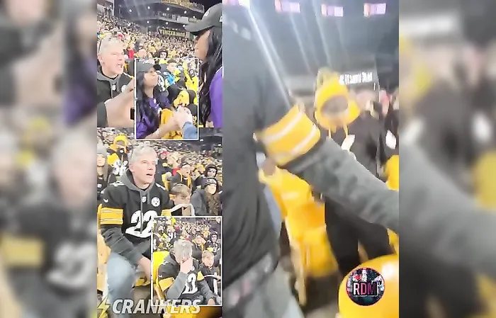 Ravens female fan threw a drink in the face of a Steelers fan