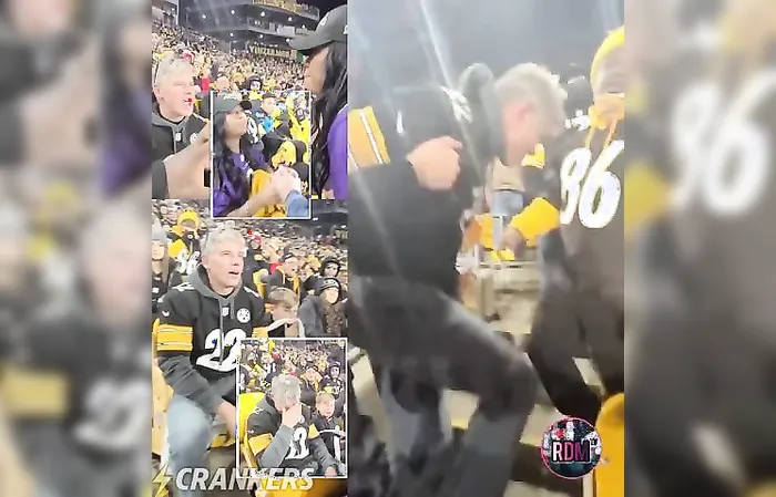 Ravens female fan threw a drink in the face of a Steelers fan